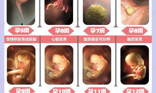 无锡狂犬病人大作视频网 | 无锡2026年有狂犬病例吗,无锡上一例狂犬病人